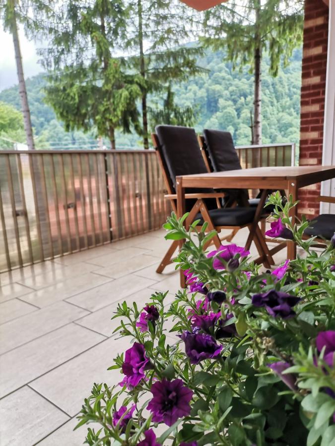 Criss Apartament Sinaia Dış mekan fotoğraf